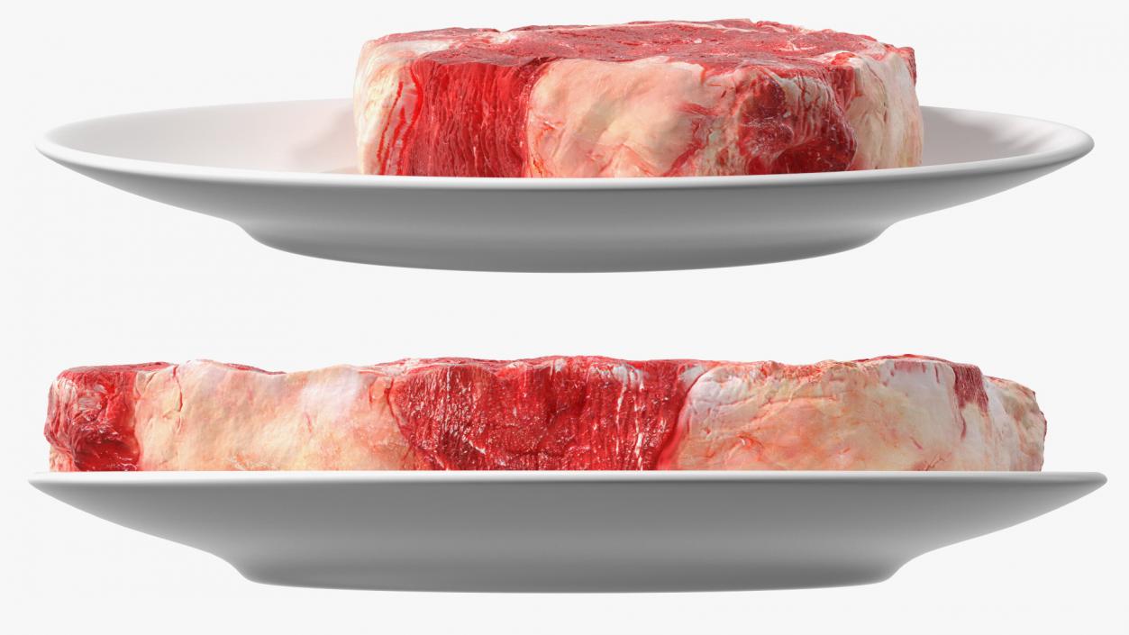 3D Meat Slice Fresh on Plates