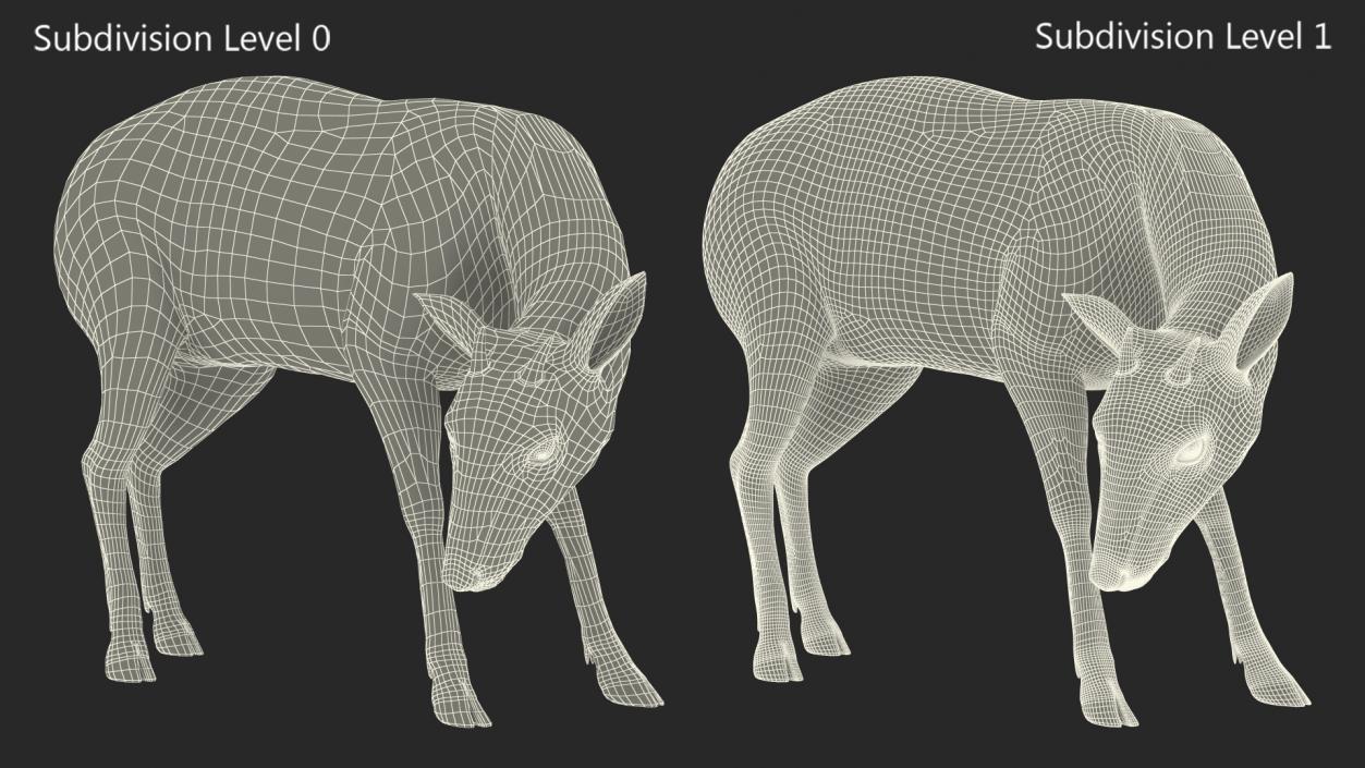 3D Saola Eating Pose Fur 2 model