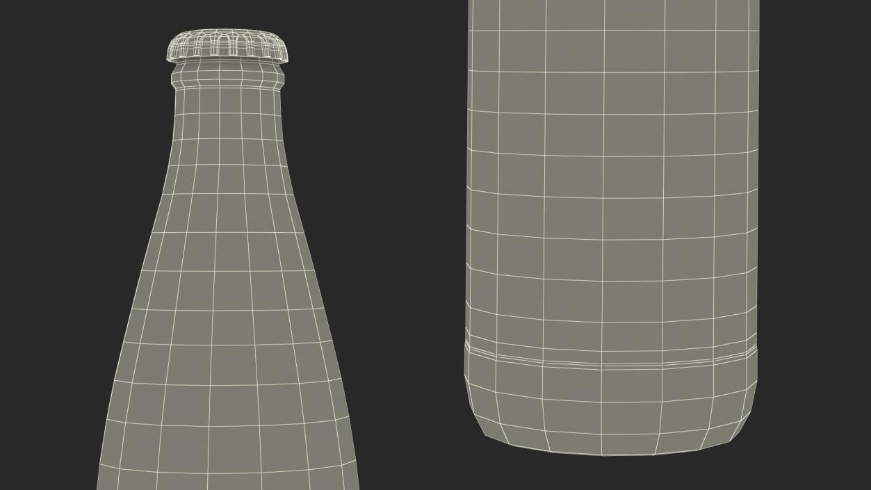 Vichy Catalan Mineral Water Bottle 3D model