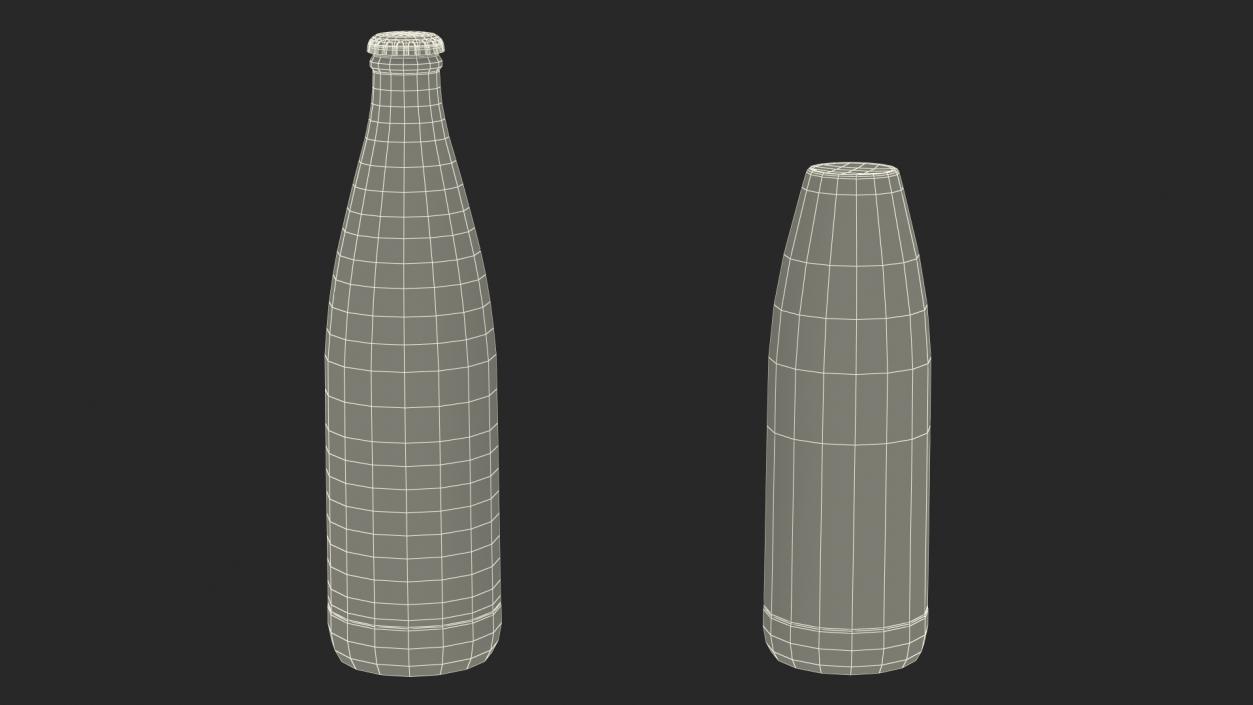 Vichy Catalan Mineral Water Bottle 3D model