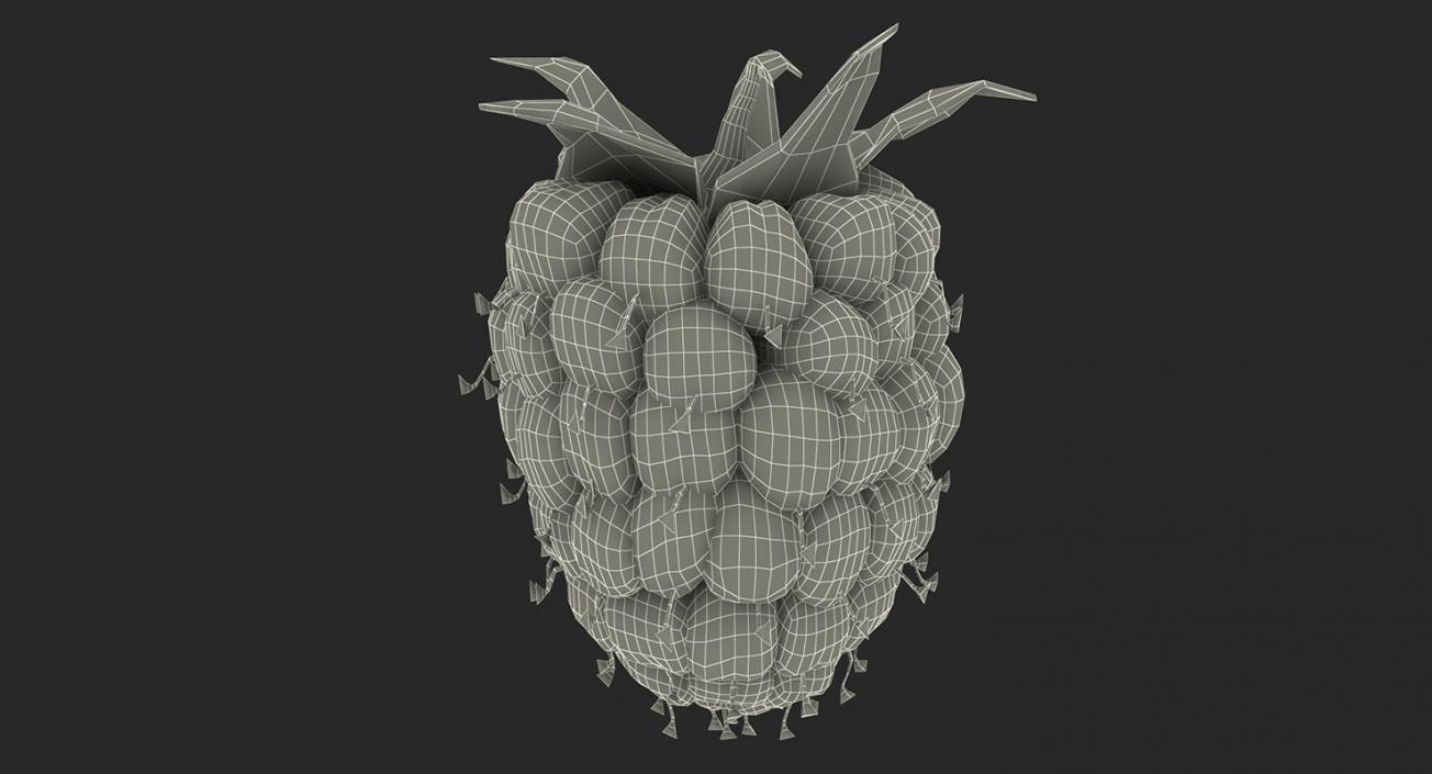 Fruits Collection 8 3D model