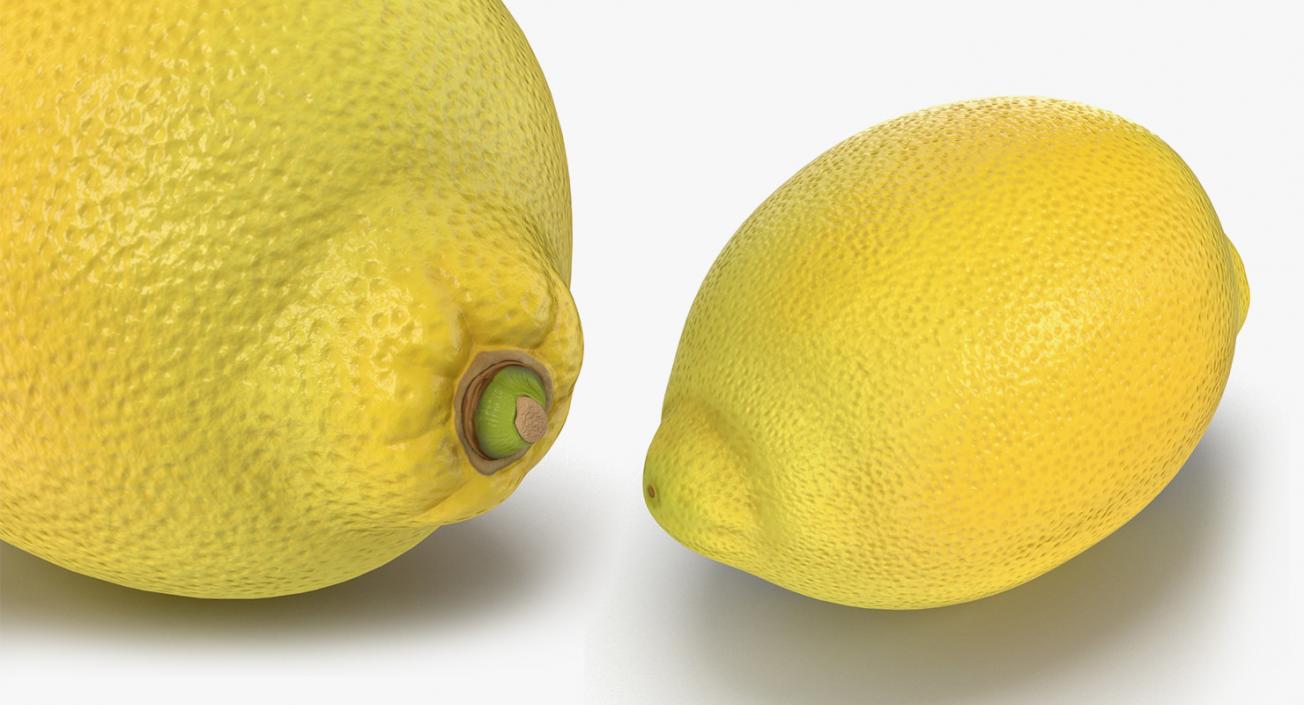 Fruits Collection 8 3D model