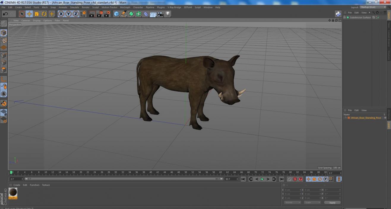 3D African Boar Standing Pose 2 model