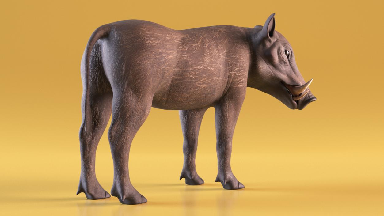 3D African Boar Standing Pose 2 model