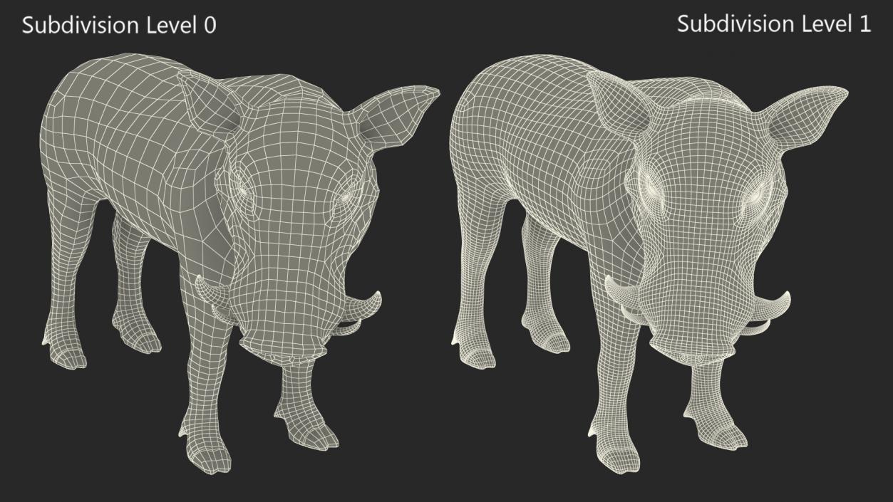 3D African Boar Standing Pose 2 model