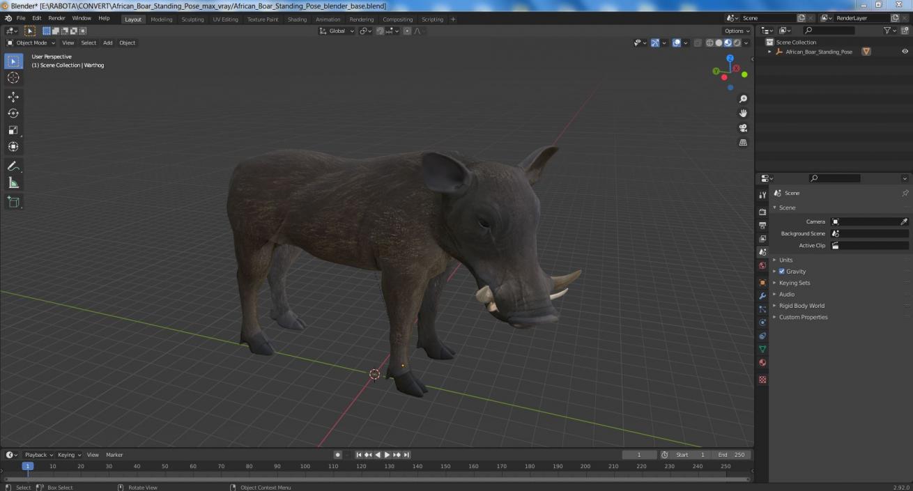 3D African Boar Standing Pose 2 model