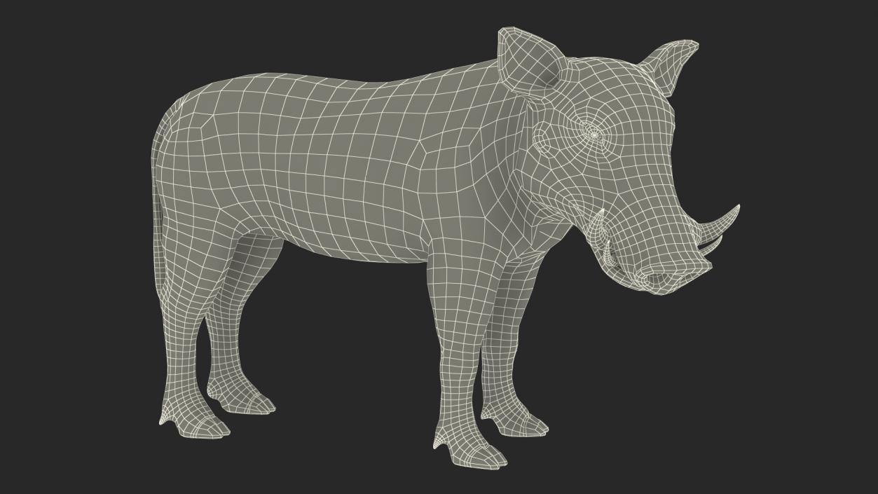 3D African Boar Standing Pose 2 model