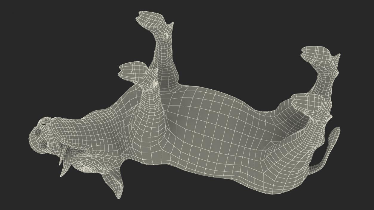 3D African Boar Standing Pose 2 model