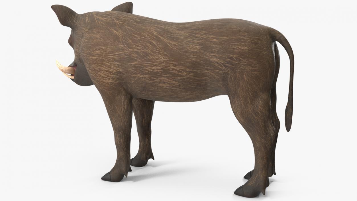 3D African Boar Standing Pose 2 model