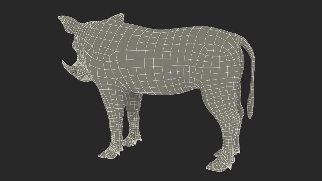 3D African Boar Standing Pose 2 model