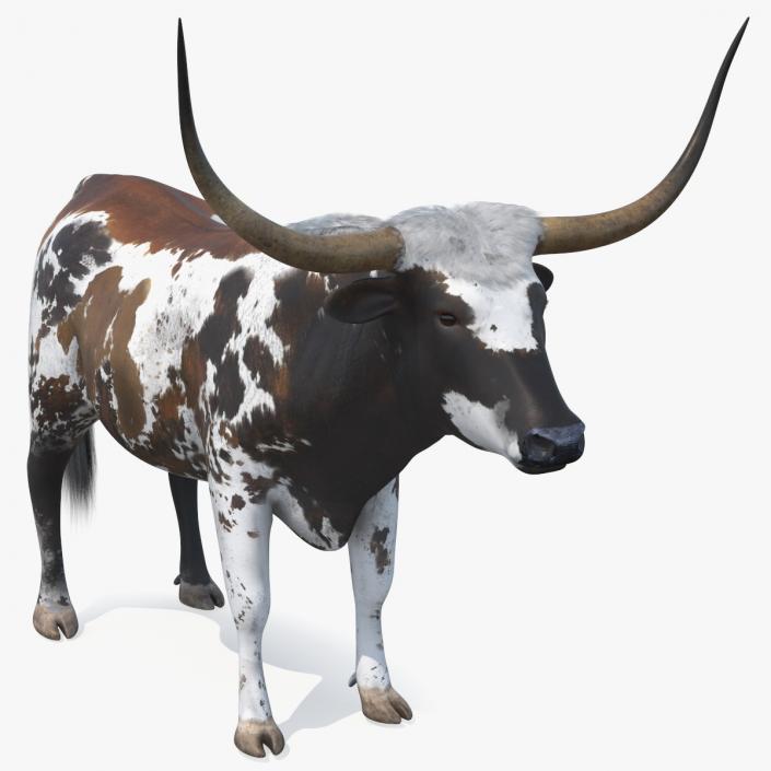 3D model Texas Longhorn Mottled Brown Rigged