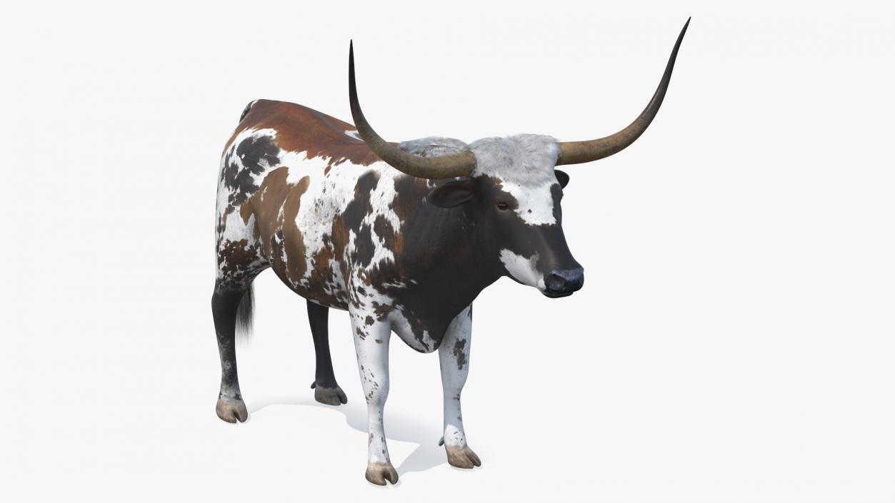 3D model Texas Longhorn Mottled Brown Rigged