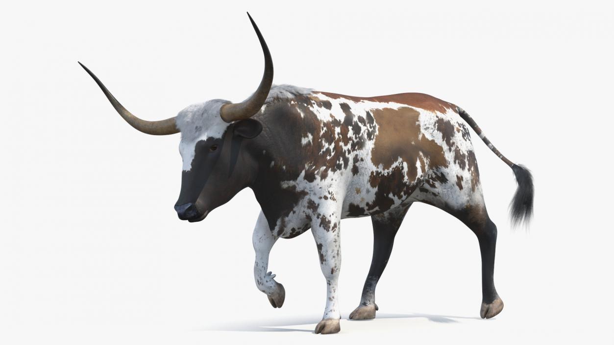 3D model Texas Longhorn Mottled Brown Rigged