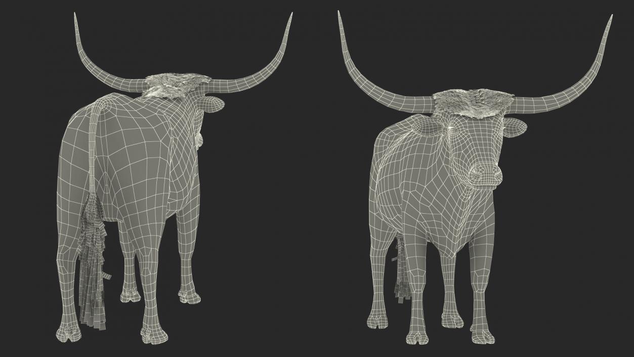 3D model Texas Longhorn Mottled Brown Rigged