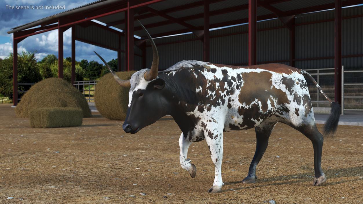 3D model Texas Longhorn Mottled Brown Rigged