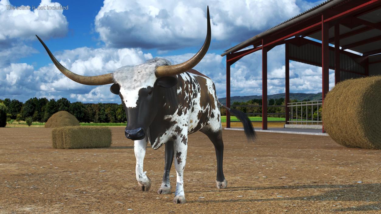 3D model Texas Longhorn Mottled Brown Rigged