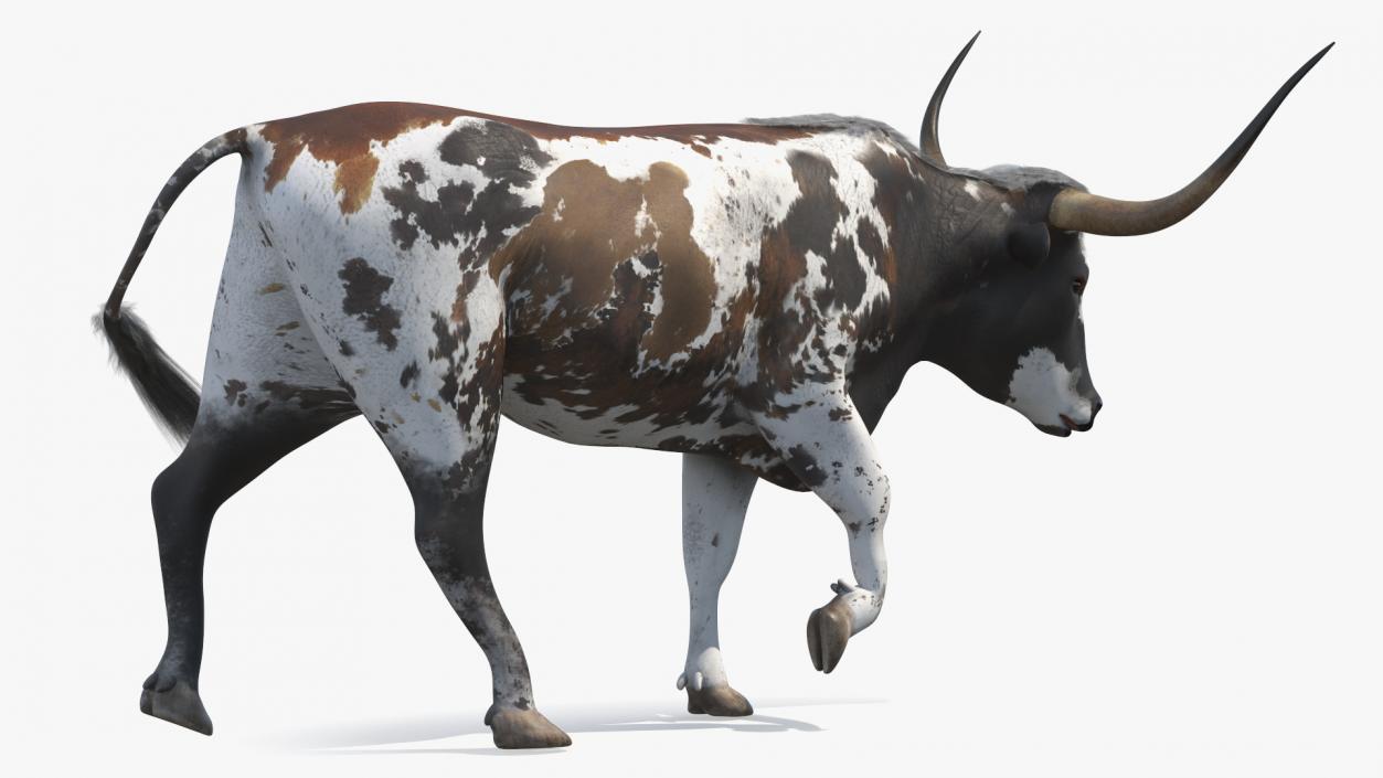 3D model Texas Longhorn Mottled Brown Rigged