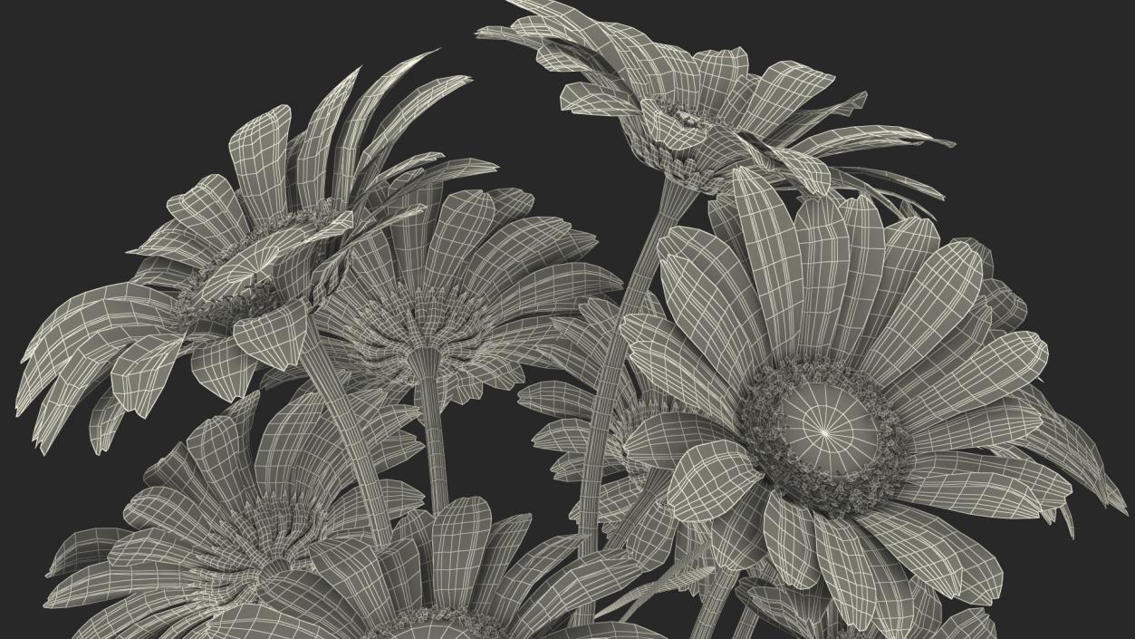 3D Bouquet of Chamomile Flowers model