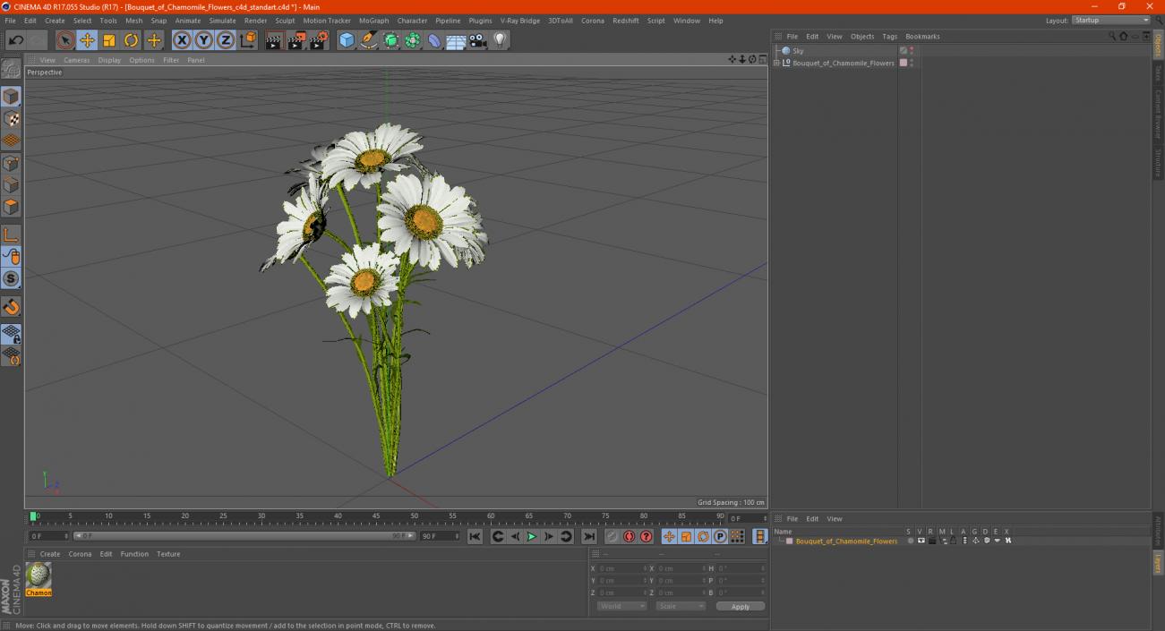 3D Bouquet of Chamomile Flowers model