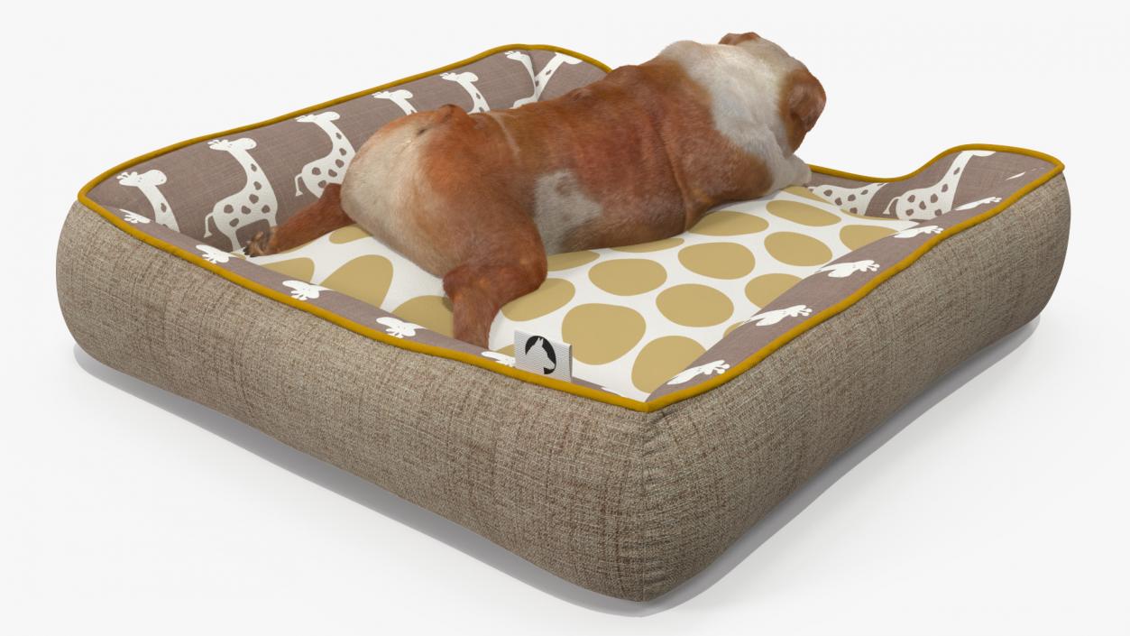 3D Bulldog Sleep in Pet Bed Fur model