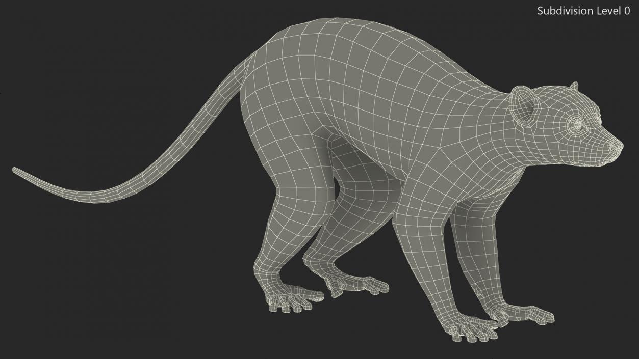 Lemur 3D model