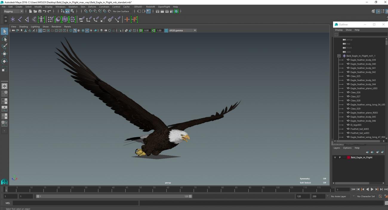 3D model Bald Eagle in Flight