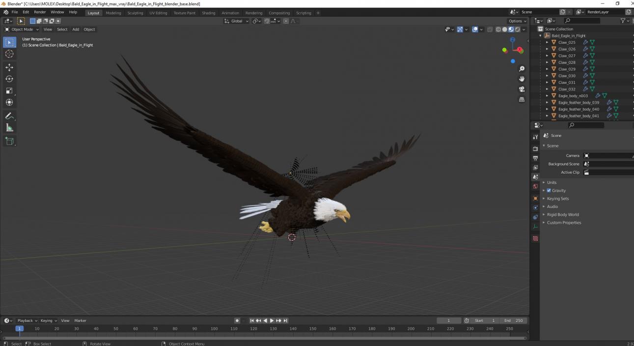 3D model Bald Eagle in Flight