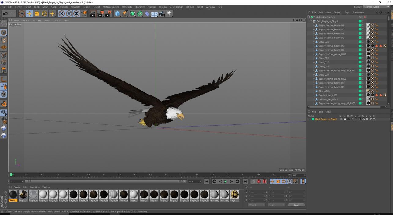 3D model Bald Eagle in Flight