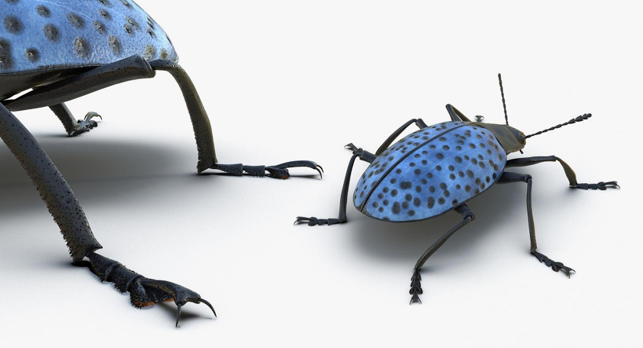 Insects Big 3D Models Collection 3D