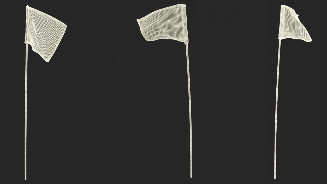 3D Golf Pin Flag model