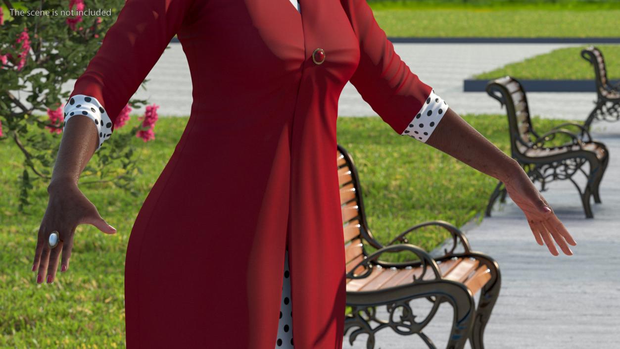 Black Old Lady Party Outfit A-Pose 3D model