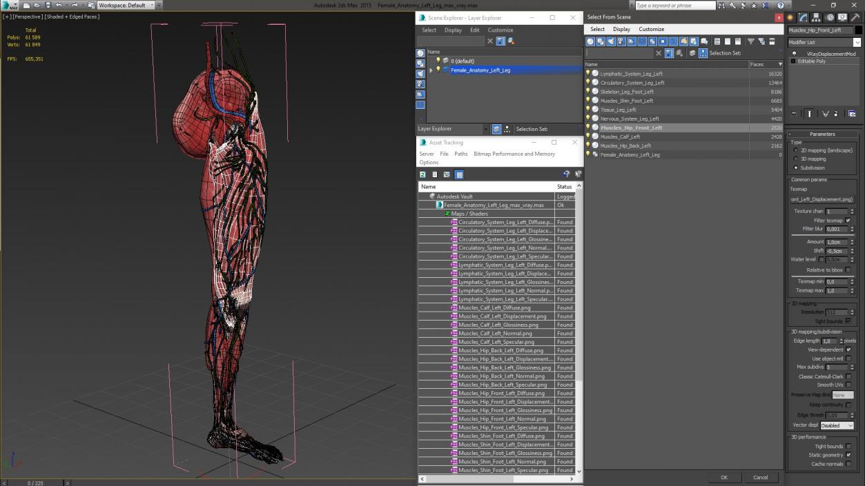 3D Female Anatomy Left Leg model