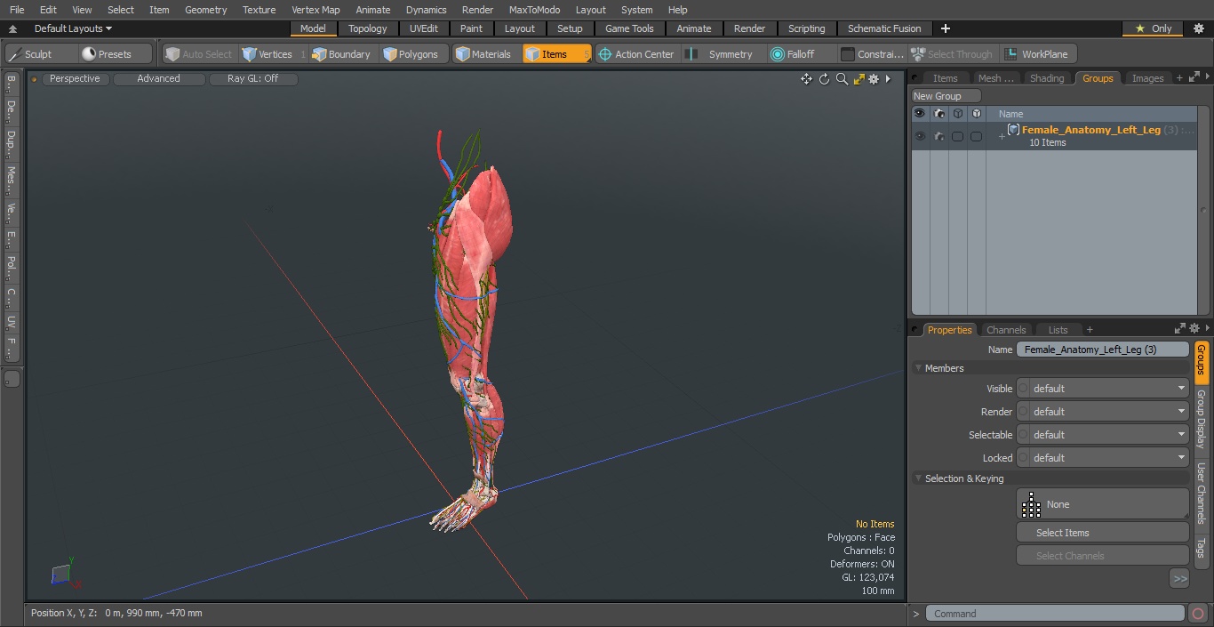 3D Female Anatomy Left Leg model