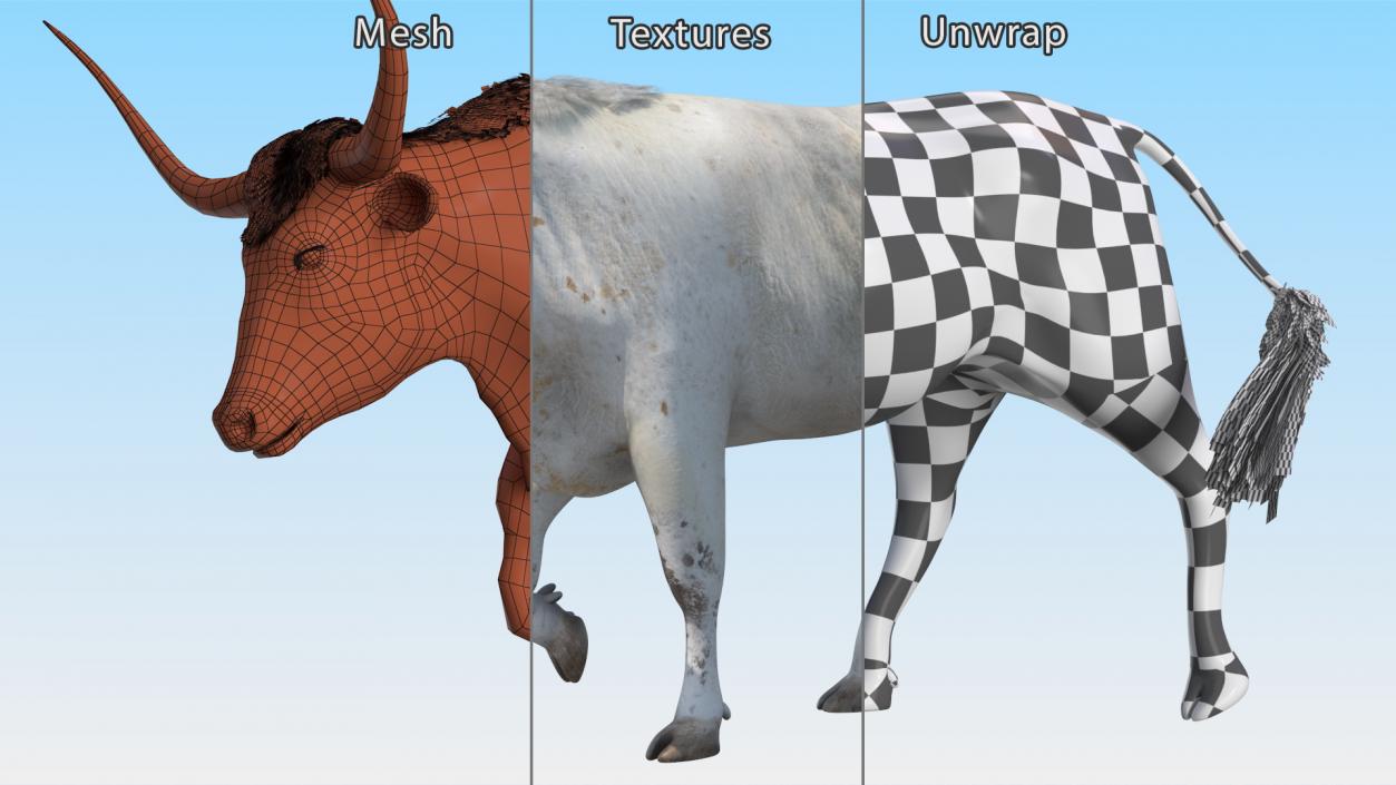 3D White Texas Longhorn Bull Walking Pose model