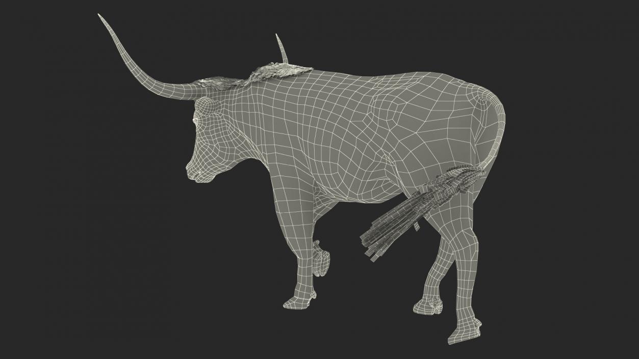 3D White Texas Longhorn Bull Walking Pose model