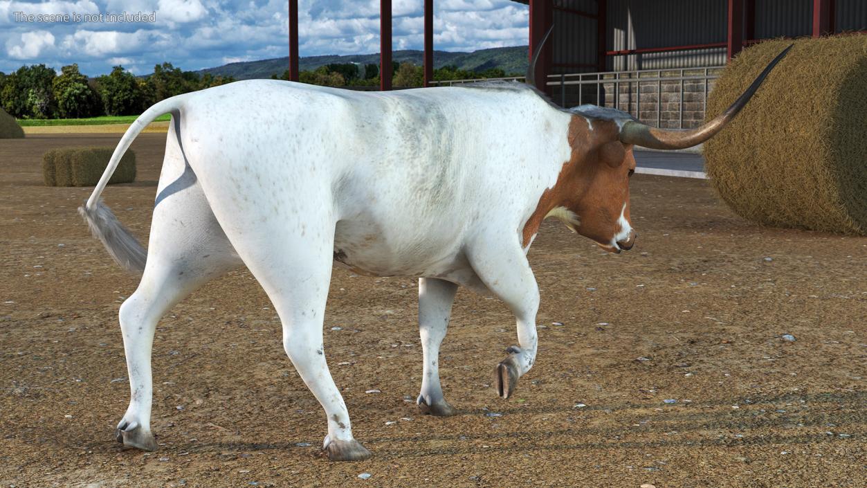 3D White Texas Longhorn Bull Walking Pose model