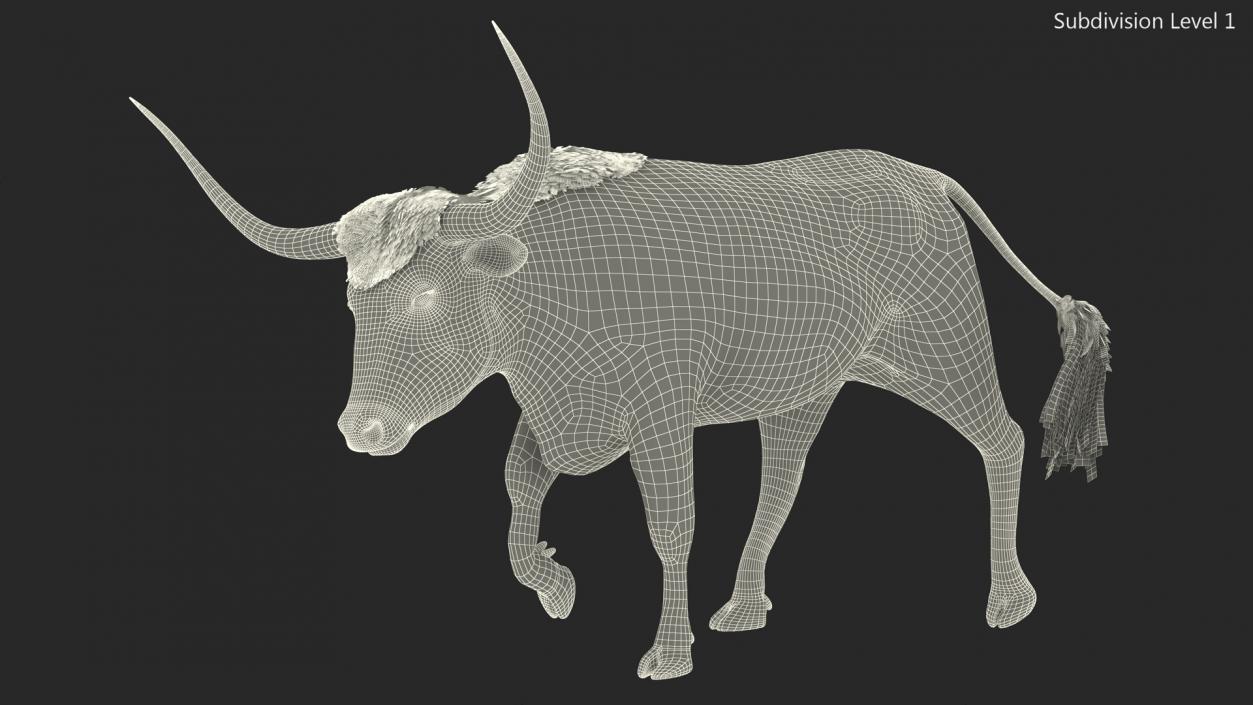 3D White Texas Longhorn Bull Walking Pose model