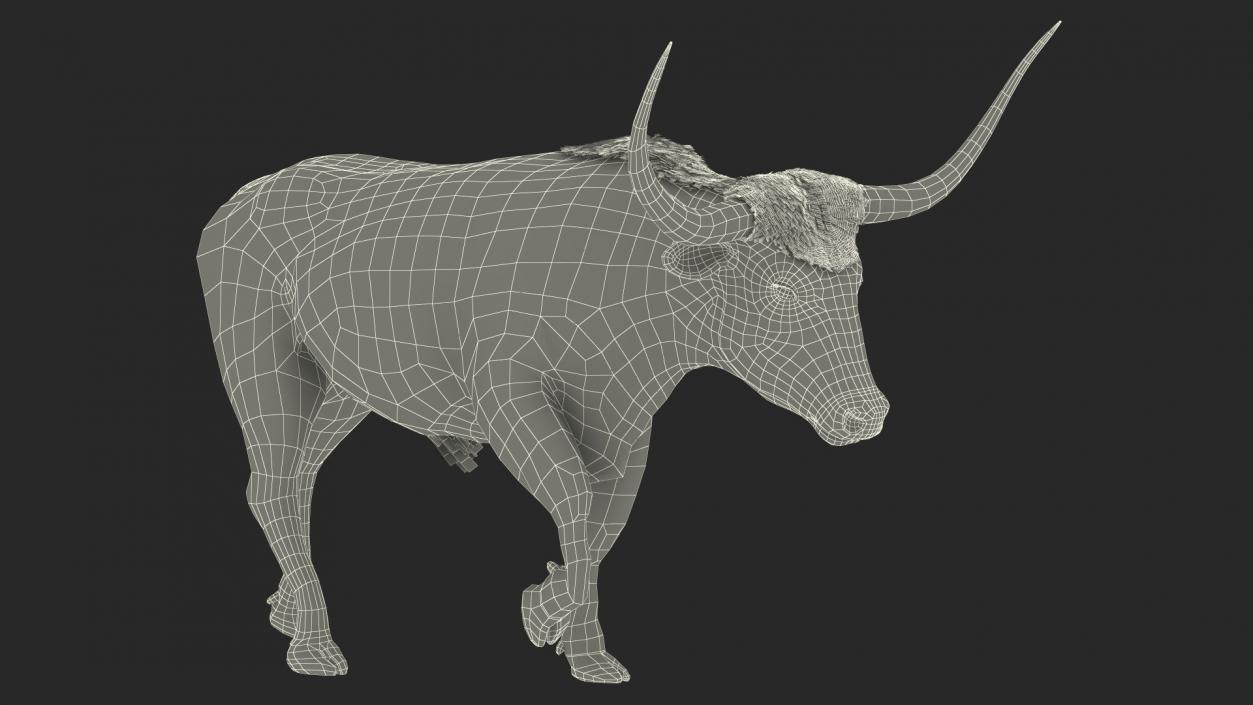 3D White Texas Longhorn Bull Walking Pose model