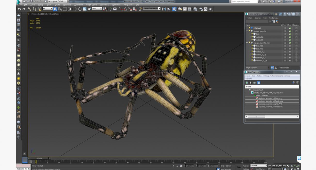 3D model Dead Corn Spider with Fur