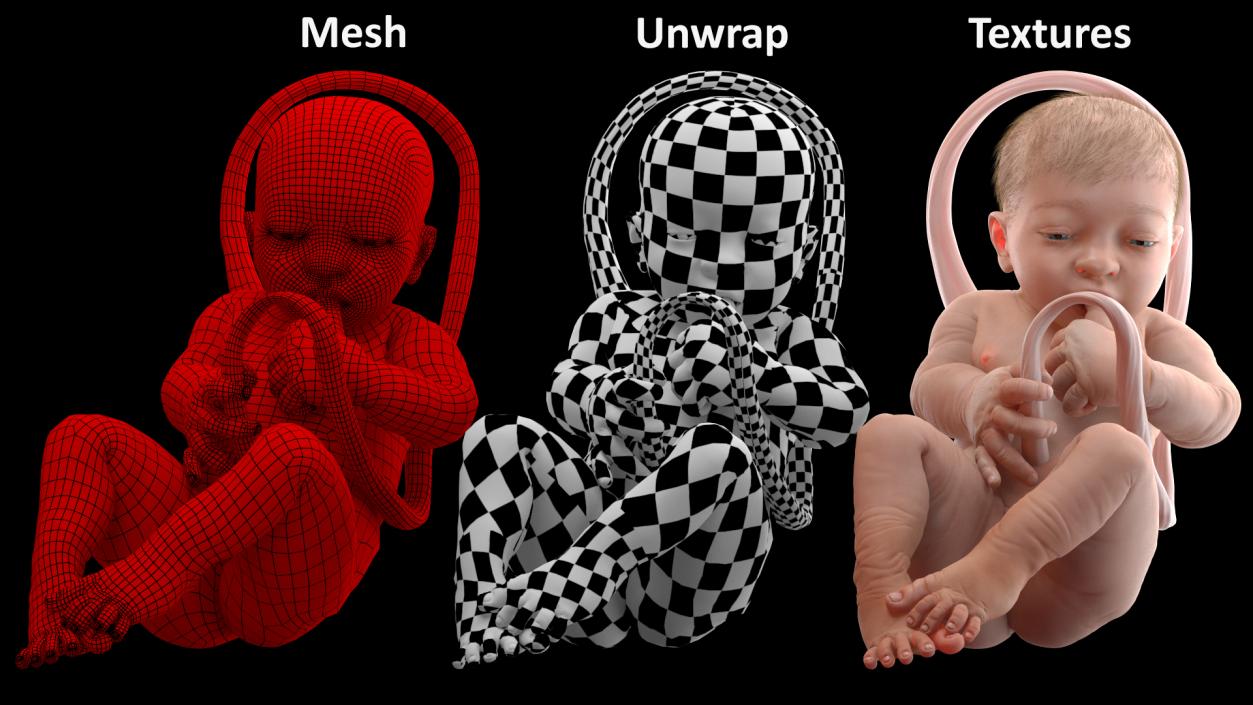 Baby Boy at 38 Weeks Fur 3D model