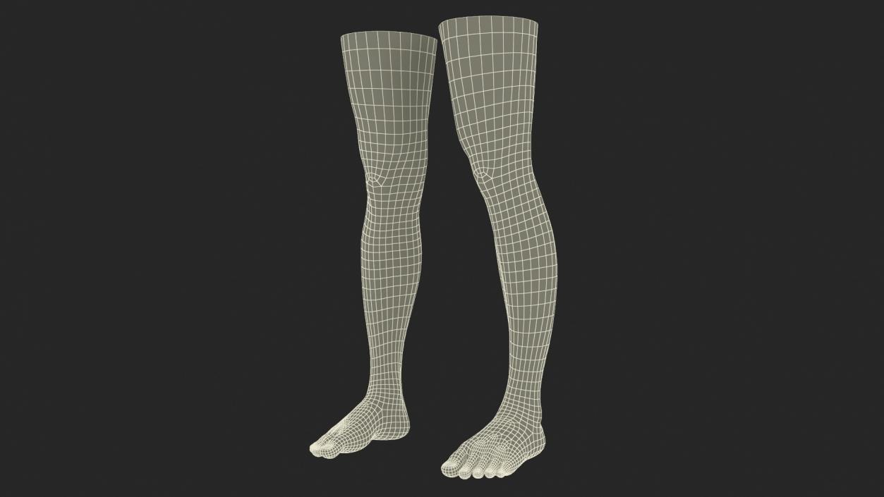 3D Female Legs 2 model