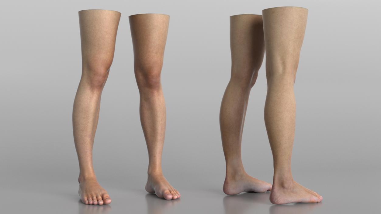 3D Female Legs 2 model