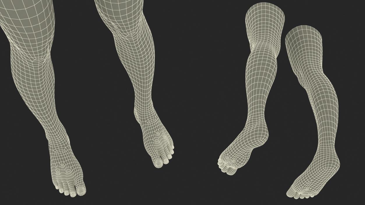 3D Female Legs 2 model