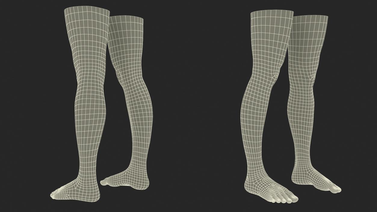 3D Female Legs 2 model