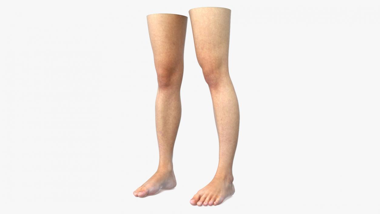 3D Female Legs 2 model