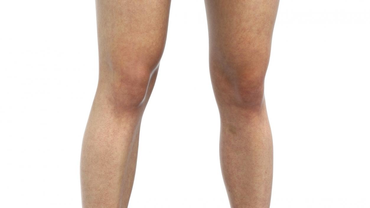 3D Female Legs 2 model