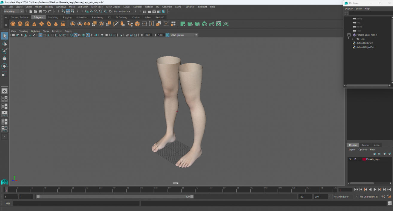 3D Female Legs 2 model