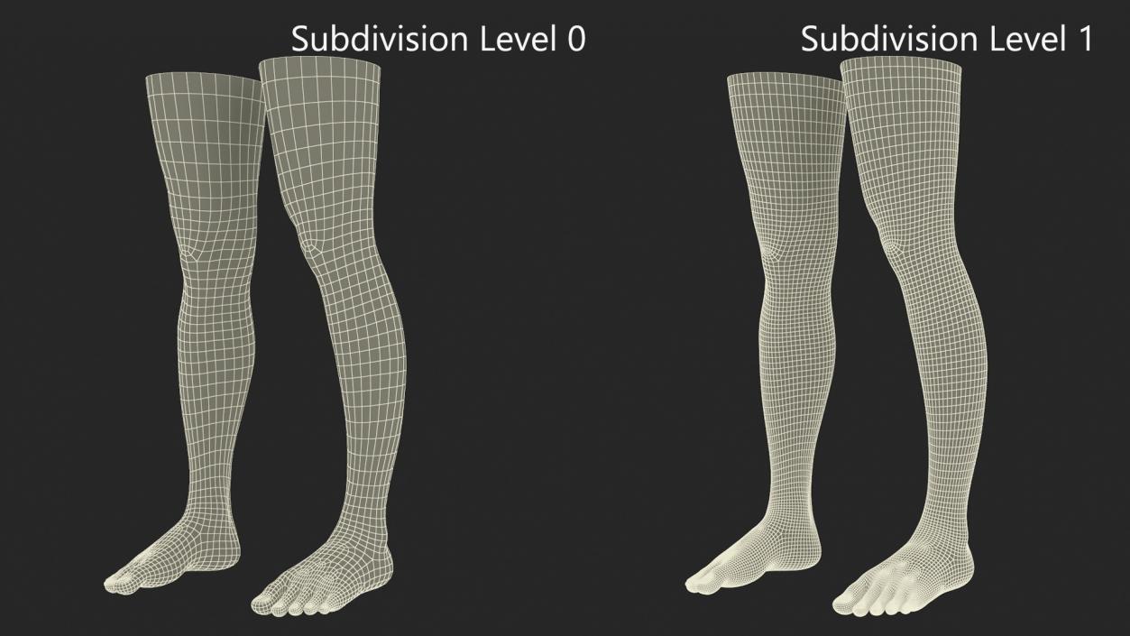 3D Female Legs 2 model