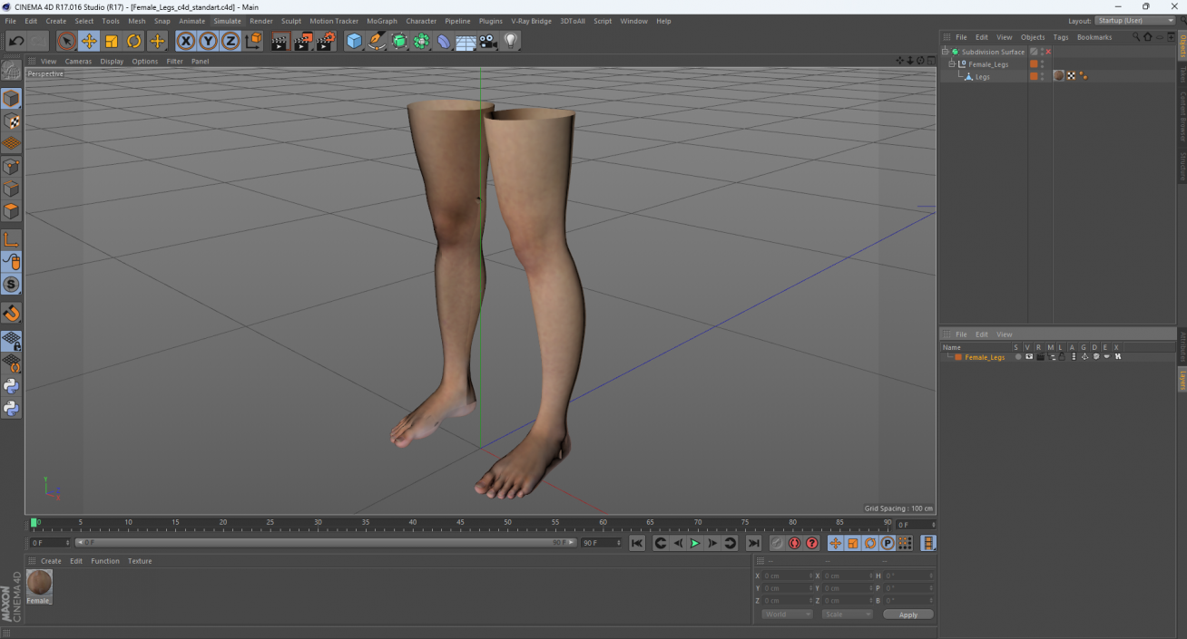 3D Female Legs 2 model