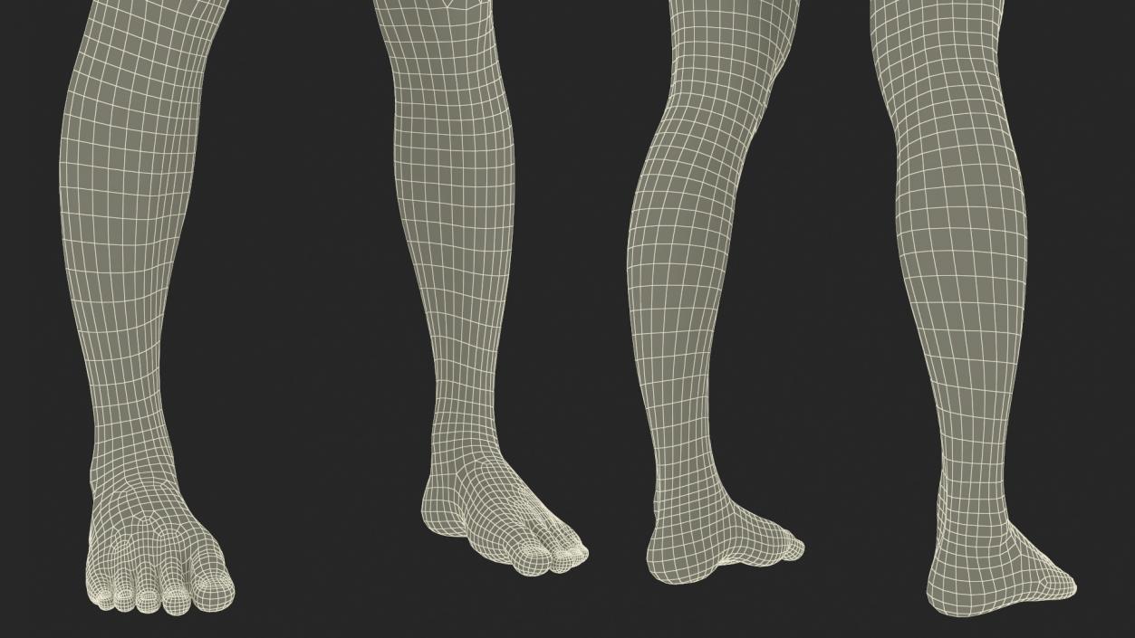 3D Female Legs 2 model